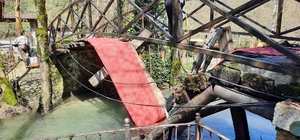 Sakarya’da dere üzerindeki asma köprü çöktü: 2 hafif yaralı