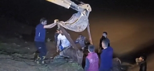 Dicle Nehri'ne düşen ineği itfaiye iş makinesiyle kurtardı