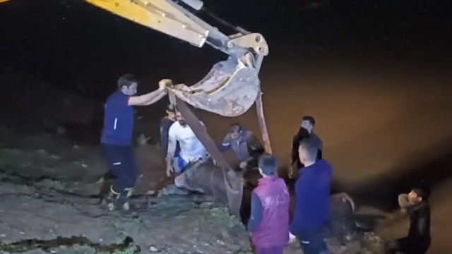 Cizre'de nehre düşen inek iş makinesiyle kurtarıldı