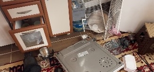 Ayılar Trabzon'da yaylalardan sonra mahallelere dadandı Ayı saldırılarından bıkan Trabzonlu işi şakaya vurup ayı saldırısını espri ile anlattı