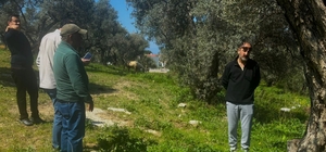 Endemik Tülüşah için inceleme yaptılar