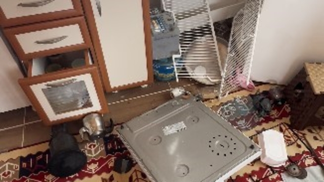 Ayılar Trabzon'da yaylalardan sonra mahallelere dadandı
Ayı saldırılarından bıkan Trabzonlu işi şakaya vurup ayı saldırısını espri ile anlattı