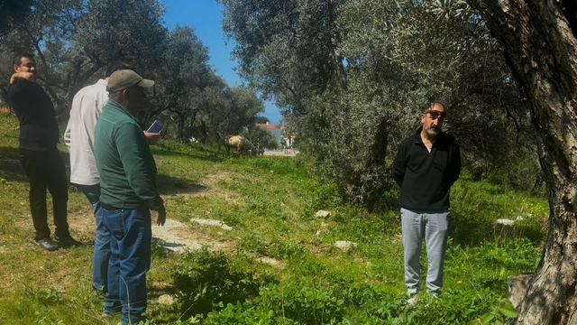 Endemik Tülüşah için inceleme yaptılar