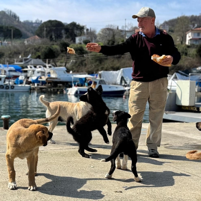 Olta tutkunu vatandaştan sokak köpeklerine şefkat