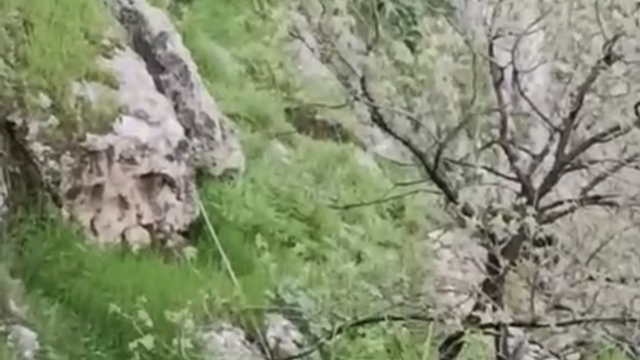 Mardin'de mahsur kalan keçileri itfaiye kurtardı