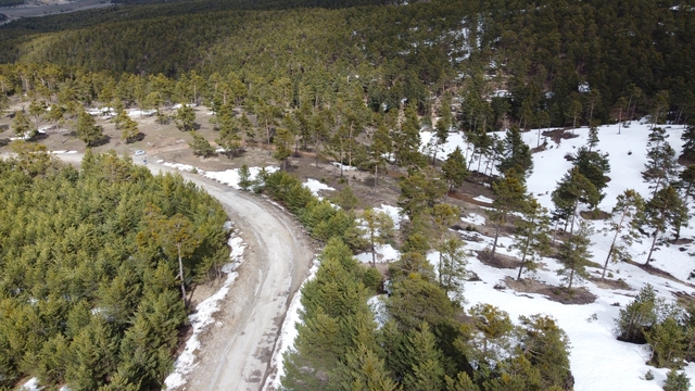 Yozgat'ın yükseklerinde kış ve bahar bir arada yaşanıyor