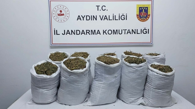 Aydın'da uyuşturucu operasyonu; 2 gözaltı