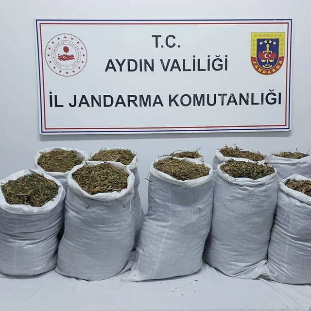 Aydın'da uyuşturucu operasyonu; 2 gözaltı