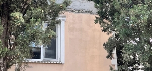 Defne'de ağaçta mahsur kalan kediyi itfaiye kurtardı