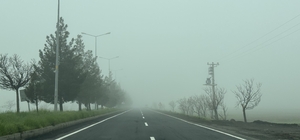 Diyarbakır güne sisle uyandı