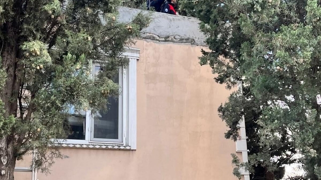 Defne'de ağaçta mahsur kalan kediyi itfaiye kurtardı