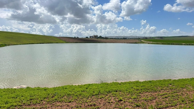 Kuraklıkla kuruma noktasına gelen gölet yağışlarla yeniden canlandı