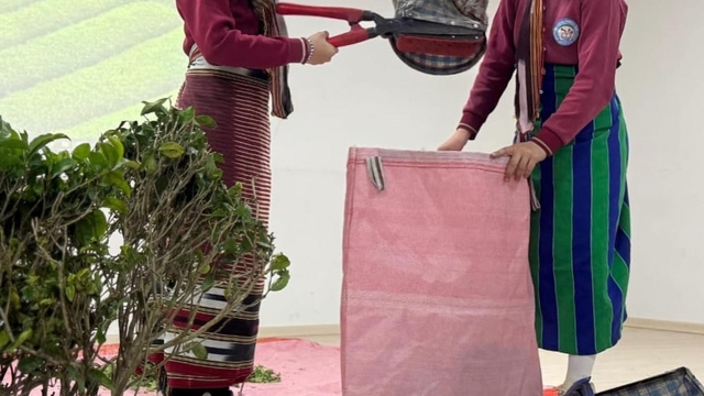 Aydıntepe'de öğrencilerden çay festivali