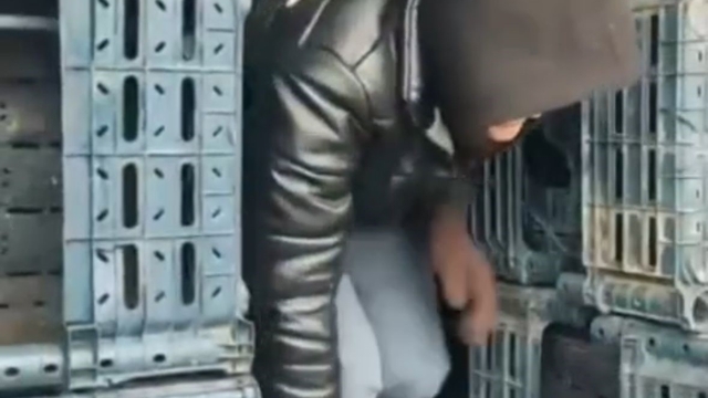 Düzce'de 7 düzensiz göçmen yakalandı