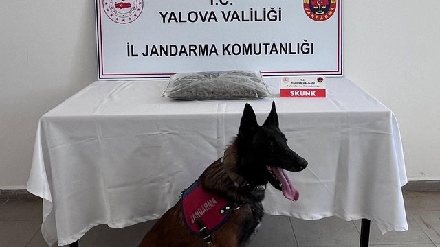 Yalova'da uyuşturucu operasyonunda 1 tutuklama
