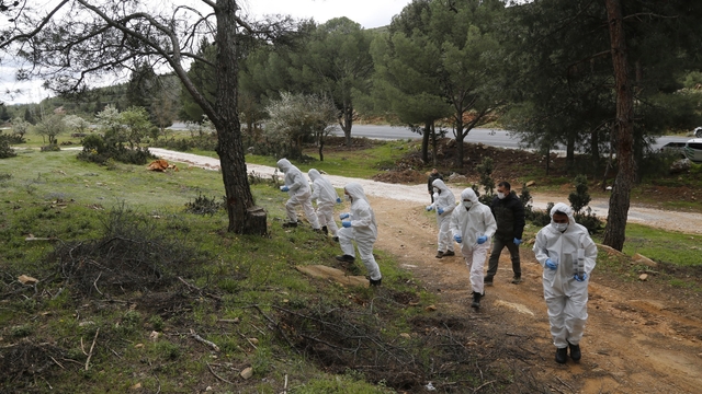 Terminatör böcekler iş başında