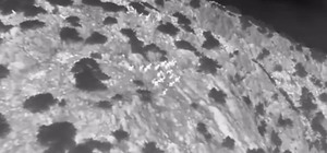 Muğla’da yaban keçileri termal kameralı drone ile görüntülendi