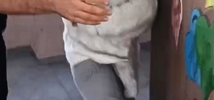 Samsun'da veli sınıfı bastı, öğretmenler basın açıklaması ile tepki gösterdi