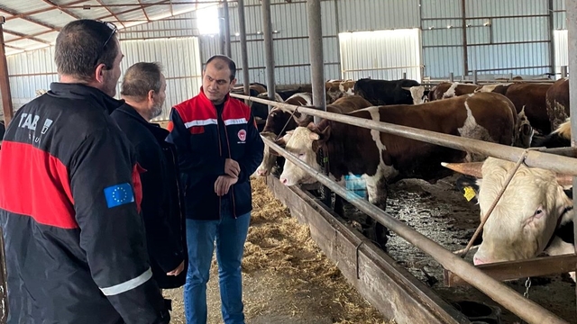 Kırklareli'nde besi çiftliği kontrolleri devam ediyor