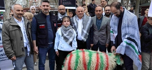 Elleriyle besleyip büyüttüğü kuzuyu Gazze'ye bağışladı