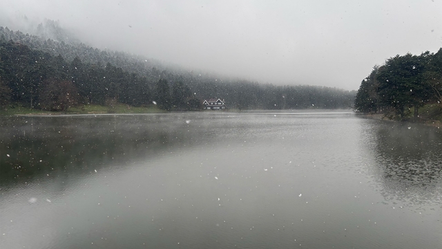 Gölcük'te kar yağışı ve sis etkili oldu