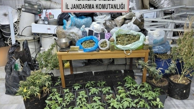 Tekirdağ'da uyuşturucu operasyonu: 1 tutuklama
Uyuşturucu yetiştirdikleri evde kaçak elektrik de kullanmışlar