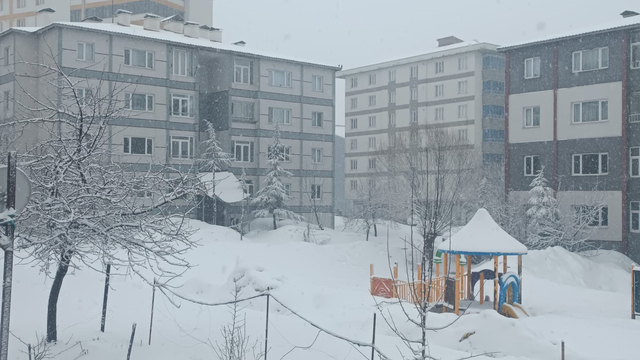 Bitlis'te kar yağışı