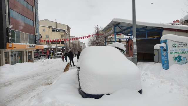 Ardahan'da nisan ayında kar sürprizi