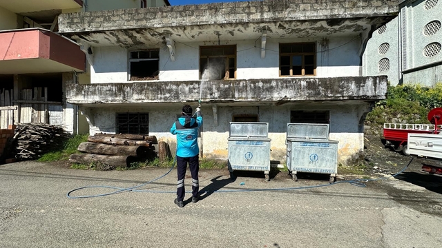 Trabzon'da kahverengi kokarca ile mücadele devam ediyor