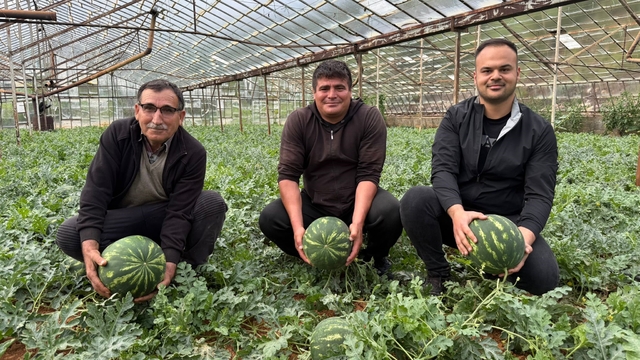 Antalya'da  kış karpuzu hasadı için geri sayım başladı
İl genelinde üretim 400 bin tonlara kadar ulaşıyor