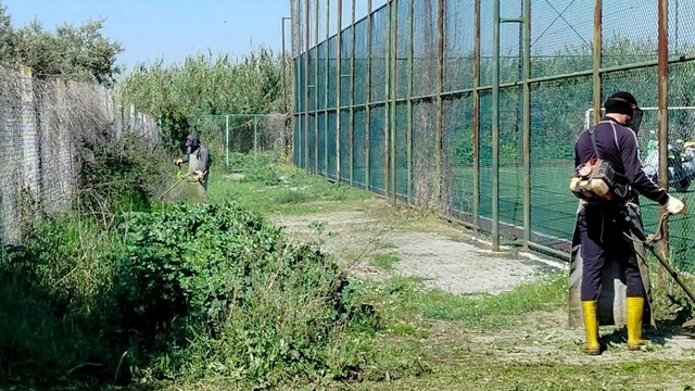 Efeler Belediyesi ekipleri Kocagür'de temizlik çalışması gerçekleştirdi
