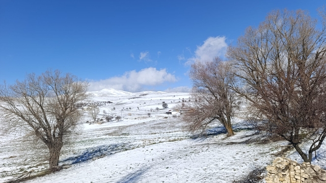 Malatya'da kar etkili oldu