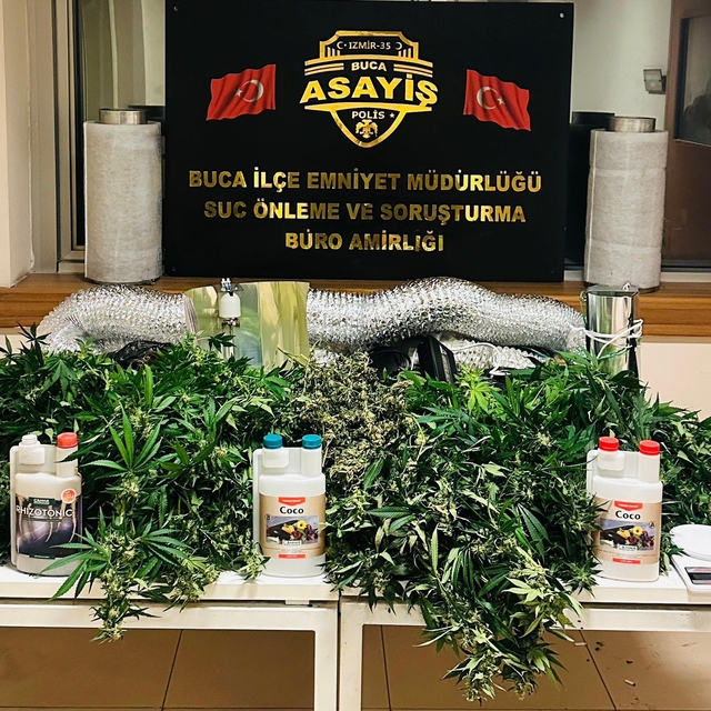İzmir'de evde uyuşturucu yetiştiren 2 şüpheli yakalandı