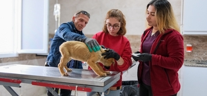 Can dostlar için Menemen'de rekor tedavi sayısına ulaşıldı