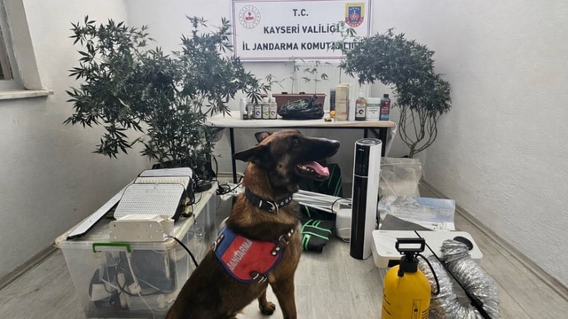 Kayseri'deki uyuşturucu operasyonunda 1 şüpheli yakalandı