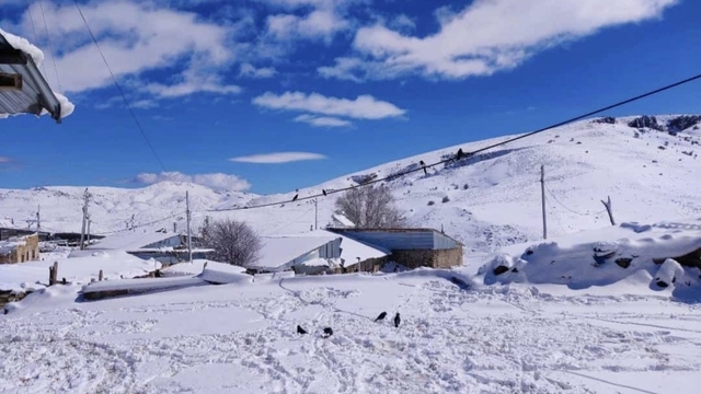 Aşkale'de nisan ayında kar sürprizi: Baharda kar yağışı etkili oldu