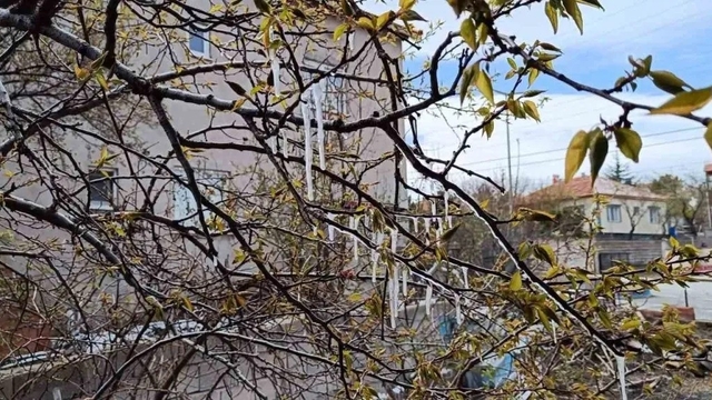 Yozgat'ta çiftçiler zirai don tehlikesine karşı uyarıldı