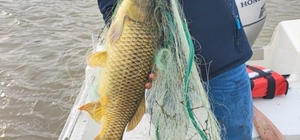 Kırklareli'nde yasak olmasına rağmen baraj gölüne serilen ağ ekiplerce toplandı