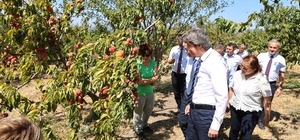 BUÜ, ziraat ve ormancılık alanında dünyada ilk 500’de