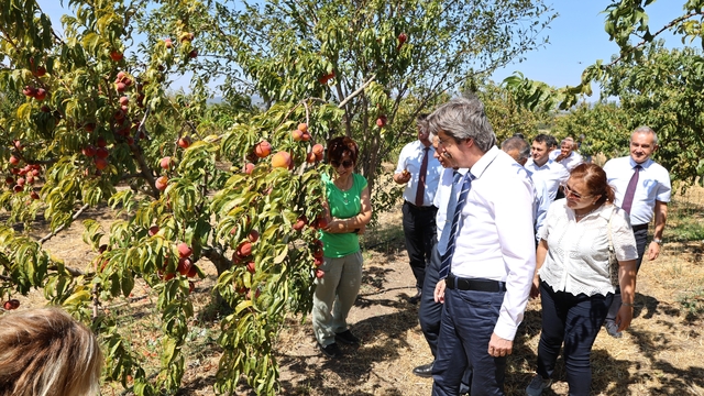 BUÜ, ziraat ve ormancılık alanında dünyada ilk 500'de