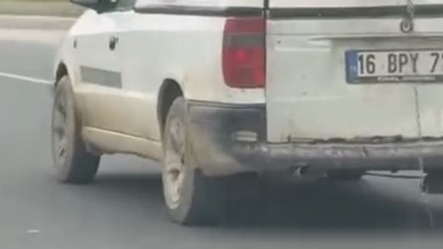 Köpeğin komik anları kamerada