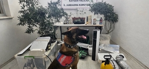 Kayseri'de yasa dışı kenevir eken şüpheli yakalandı