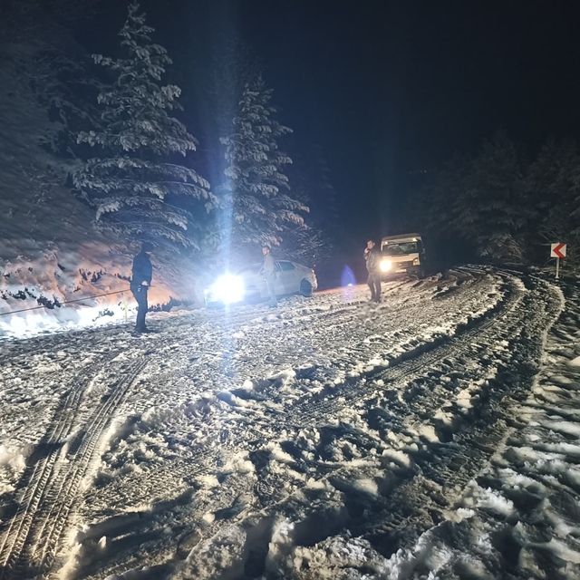 Kastamonu'da nisan karı
