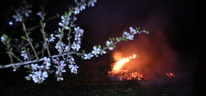 Manisa'da don nöbeti Badem bahçelerinde ürericiler don olayına karşı gece mesaisinde