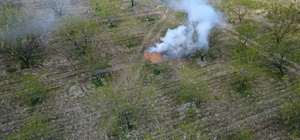 Manisa’da üreticilerden ‘zirai don' nöbeti; badem ağaçlarına dumanlı koruma