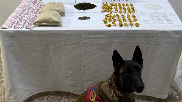 Tokat'ta uyuşturucu operasyonunda 1 zanlı yakalandı