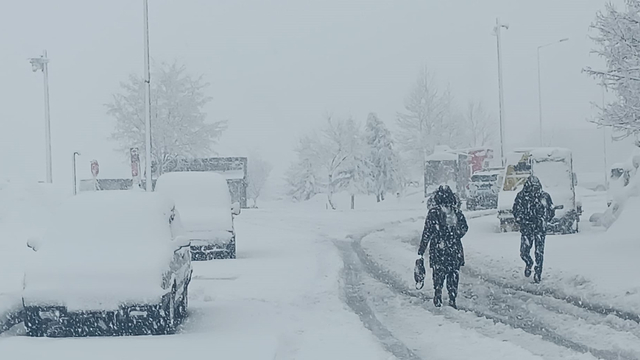 Bitlis'te 84 yerleşim yeri, ulaşıma kapandı