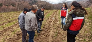 Kütahya’da yüzde 75 hibeli ahududu bahçelerinde kontroller gerçekleştirildi