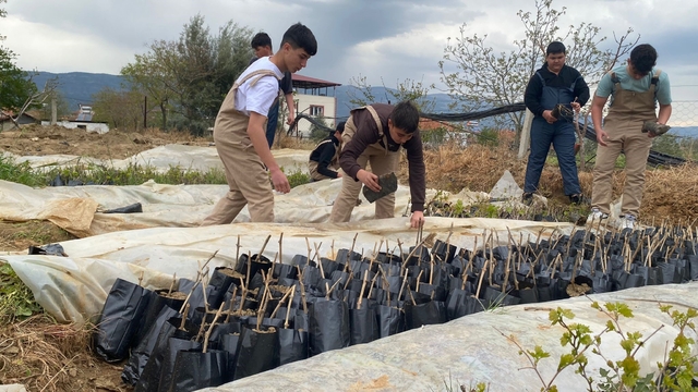 Liselilerden bölge tarımına büyük katkı