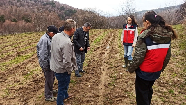 Kütahya'da yüzde 75 hibeli ahududu bahçelerinde kontroller gerçekleştirildi